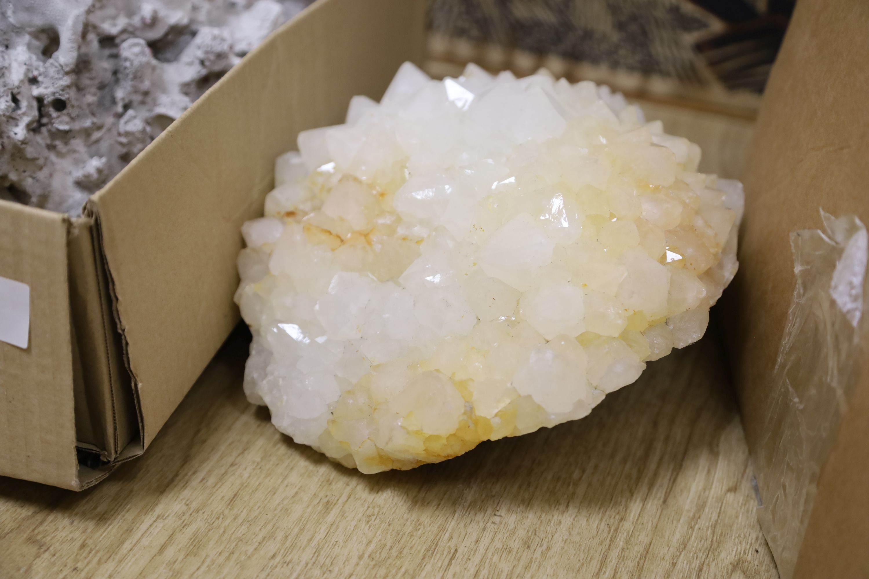 A piece of coral and rock crystal